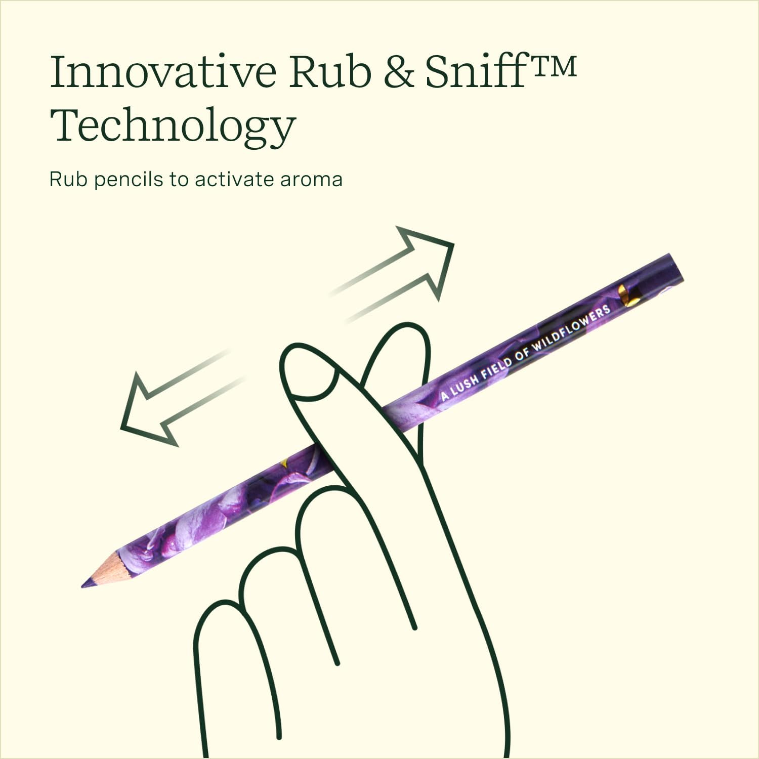 Rub & Sniff Scented Colored Pencils  Lifelines   