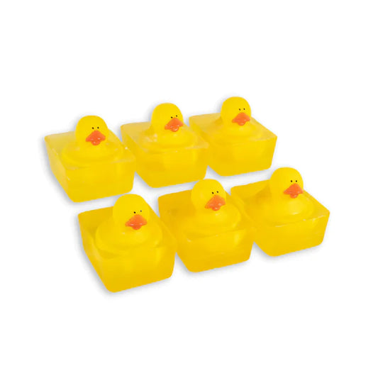 Traditional Duck Toy Soaps Soap Heartland Fragrance   