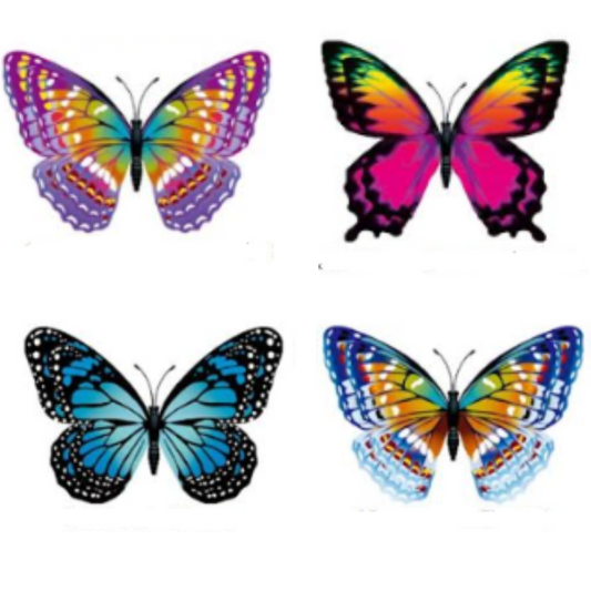 Glow-in-the-Dark Butterfly Magnet  Flutter Gallery   