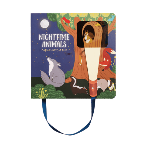 Nighttime Animals Flashlight Book Mud Pie