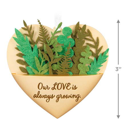 Growing In Love 2024 Hallmark Keepsake Ornament Hallmark Keepsake Ornament Hallmark   