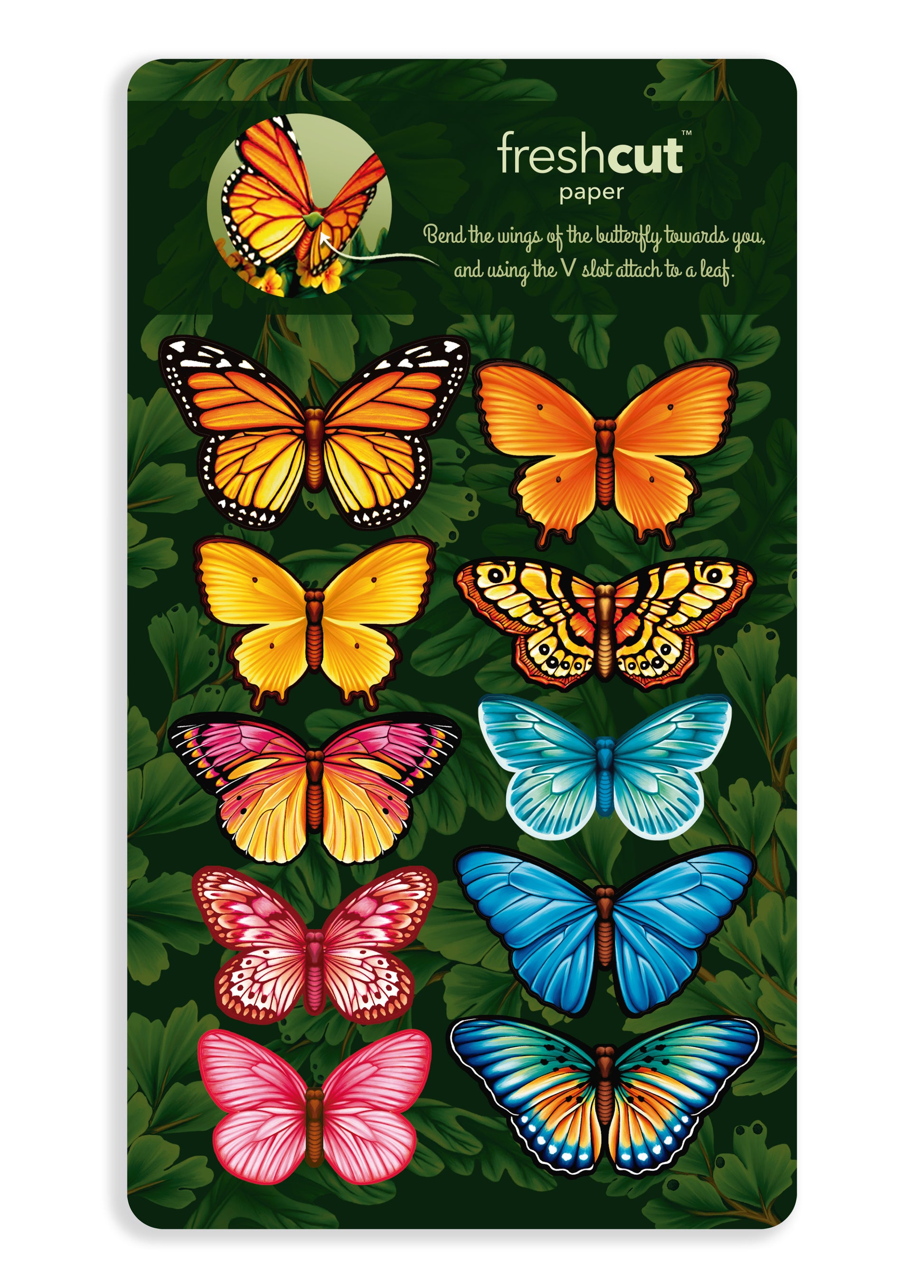Butterflies and Buttercups by Fresh Cut Paper – Little Green Apple