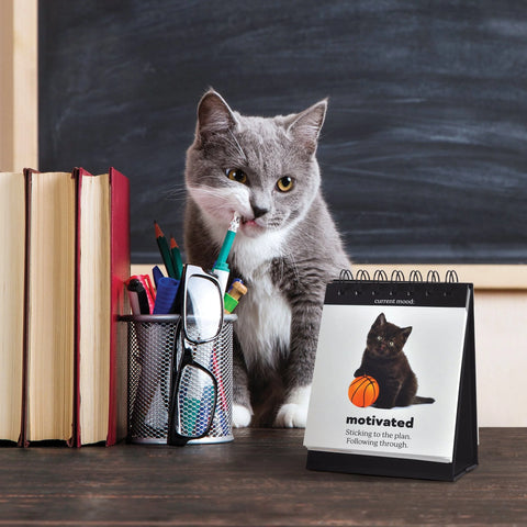Desktop Flip Book Cats  Fred & Friends   