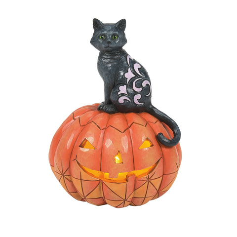 Black Cat on Pumpkin LED Figurine by Jim Shore Figurine Enesco   