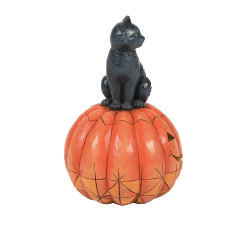 Black Cat on Pumpkin LED Figurine by Jim Shore Figurine Enesco   