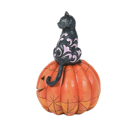 Black Cat on Pumpkin LED Figurine by Jim Shore Figurine Enesco   