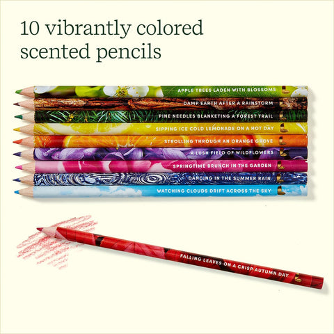 Rub & Sniff Scented Colored Pencils  Lifelines   