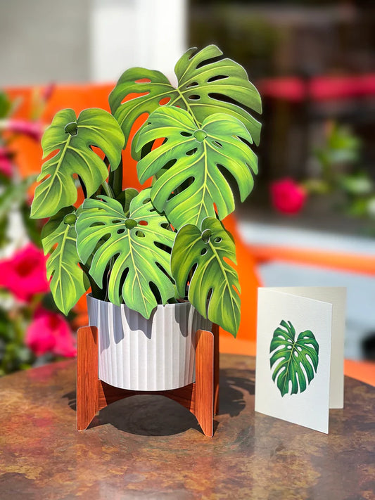 Monstera Life-Sized Pop-Up Houseplant Greeting Card Freshcut Paper   