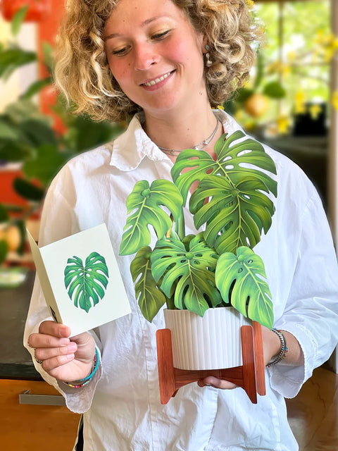 Monstera Life-Sized Pop-Up Houseplant Greeting Card Freshcut Paper   