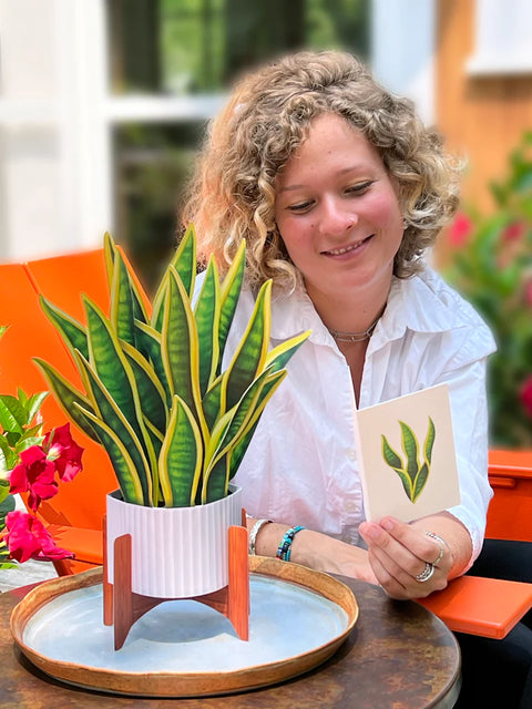 Snake Plant Life-Sized Pop-Up Houseplant Greeting Card Freshcut Paper   