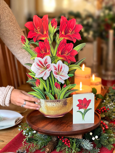 Scarlet Amaryllis Holiday Decor Freshcut Paper   