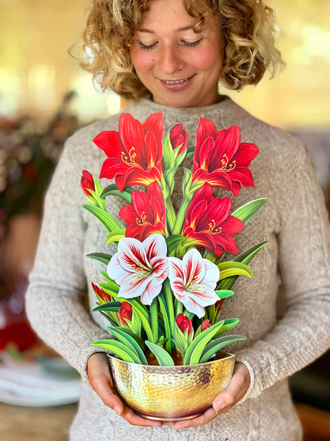 Scarlet Amaryllis Holiday Decor Freshcut Paper   