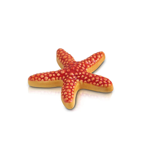 Sea Star Mini By Nora Fleming Nora Fleming Nora Fleming   