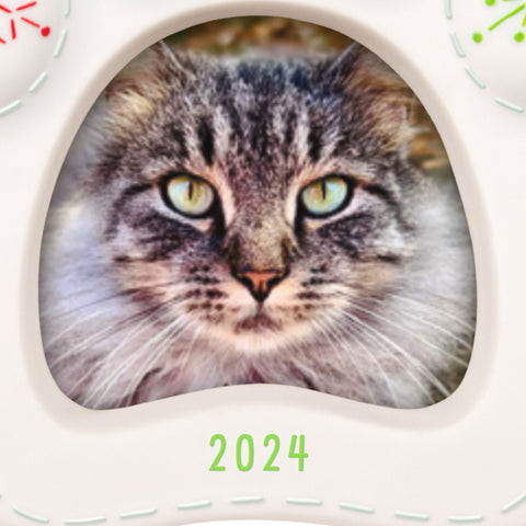 Pretty Kitty 2024 Porcelain Photo Frame 2024 Hallmark Keepsake Ornament Hallmark Keepsake Ornament Hallmark   