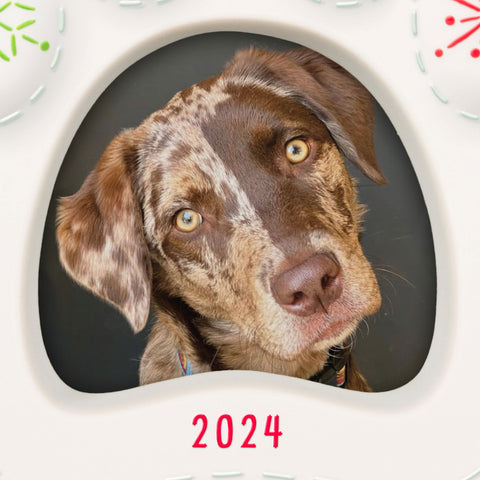 Happy Dog 2024 Porcelain Photo Frame 2024 Hallmark Keepsake Ornament Hallmark Keepsake Ornament Hallmark   