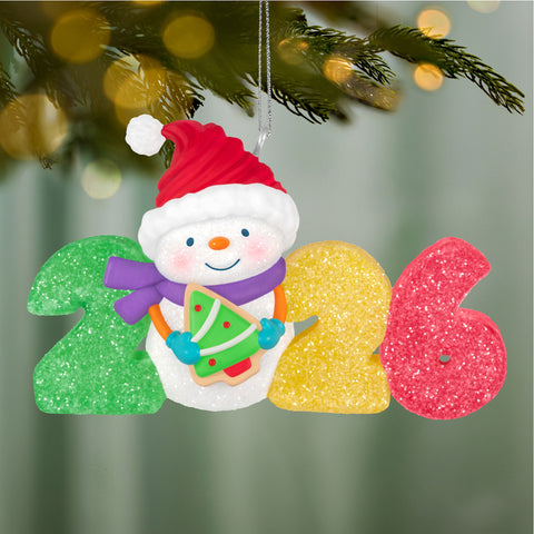 Hallmark Sweet Decade 2026 Ornament Hallmark