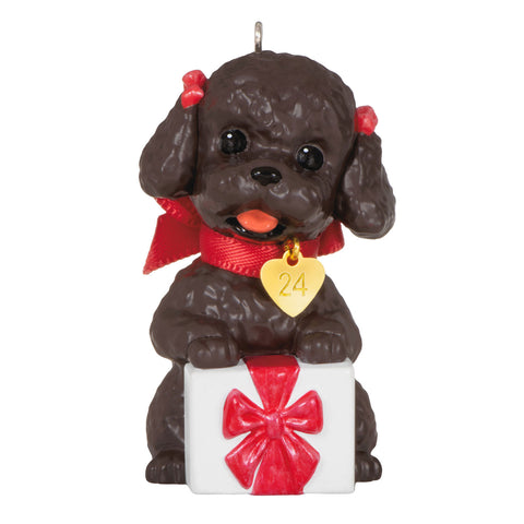 Puppy Love Poodle 2024 2024 Hallmark Keepsake Ornament Hallmark Keepsake Ornament Hallmark Default Title  