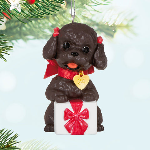 Puppy Love Poodle 2024 2024 Hallmark Keepsake Ornament Hallmark Keepsake Ornament Hallmark   