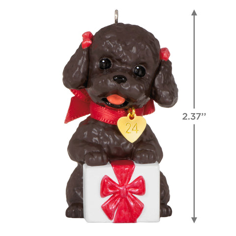 Puppy Love Poodle 2024 2024 Hallmark Keepsake Ornament Hallmark Keepsake Ornament Hallmark   