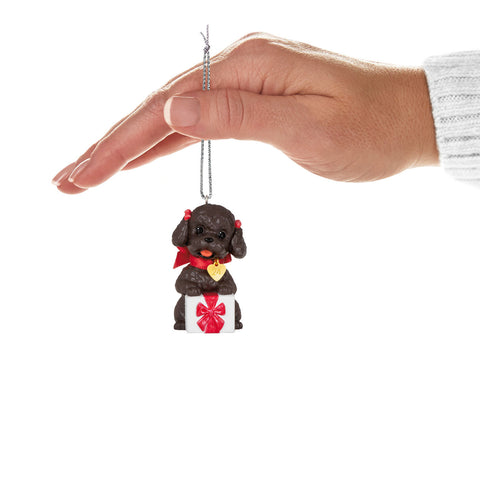 Puppy Love Poodle 2024 2024 Hallmark Keepsake Ornament Hallmark Keepsake Ornament Hallmark   