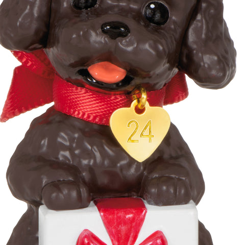 Puppy Love Poodle 2024 2024 Hallmark Keepsake Ornament Hallmark Keepsake Ornament Hallmark   