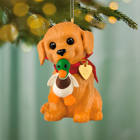 Hallmark Puppy Love Golden Retriever 2026 Ornament Hallmark