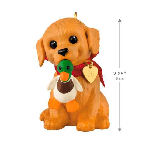Hallmark Puppy Love Golden Retriever 2026 Ornament Hallmark