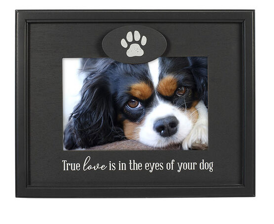4X6 True Love Eyes of Your Dog  Malden International Designs   