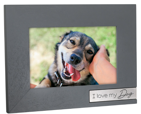 4x6 I Love My Dog Picture Frame  Malden International Designs   