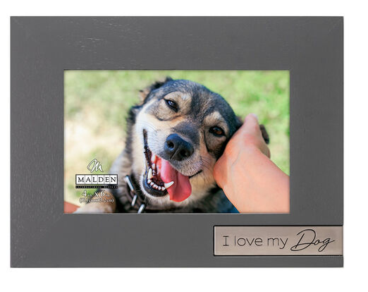 4x6 I Love My Dog Picture Frame  Malden International Designs   