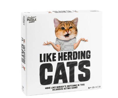 Like Herding Cats  Professor Puzzle USA Inc   