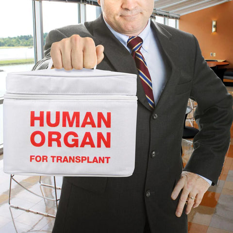 Cooler Organ Transplant Kitchen Fred & Friends   