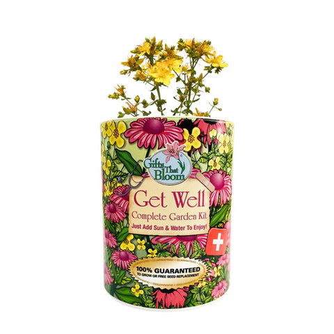 Get Well Garden Grocan  Gifts that Bloom   