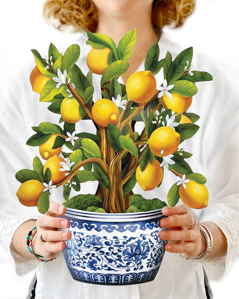 Lemon Blossom Tree Life-Sized Pop-Up Flower Bouquet Greeting Card Freshcut Paper   