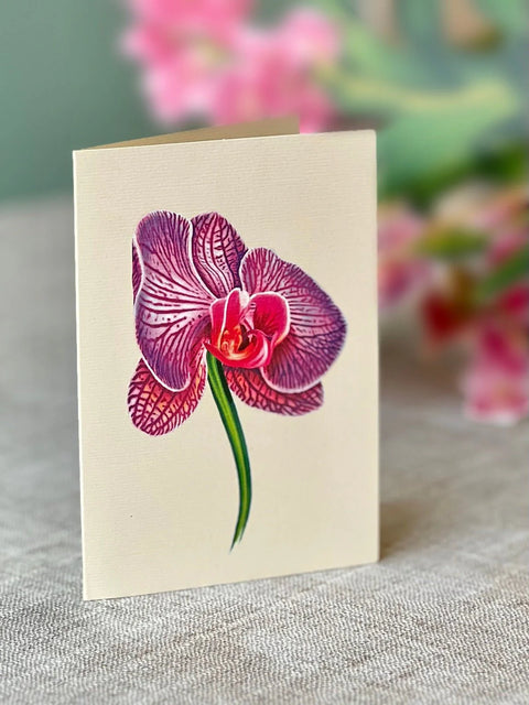 Orchid Oasis Life-Sized Pop-Up Flower Bouquet Greeting Card Freshcut Paper   