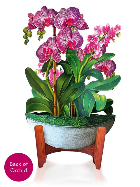 Orchid Oasis Life-Sized Pop-Up Flower Bouquet Greeting Card Freshcut Paper   